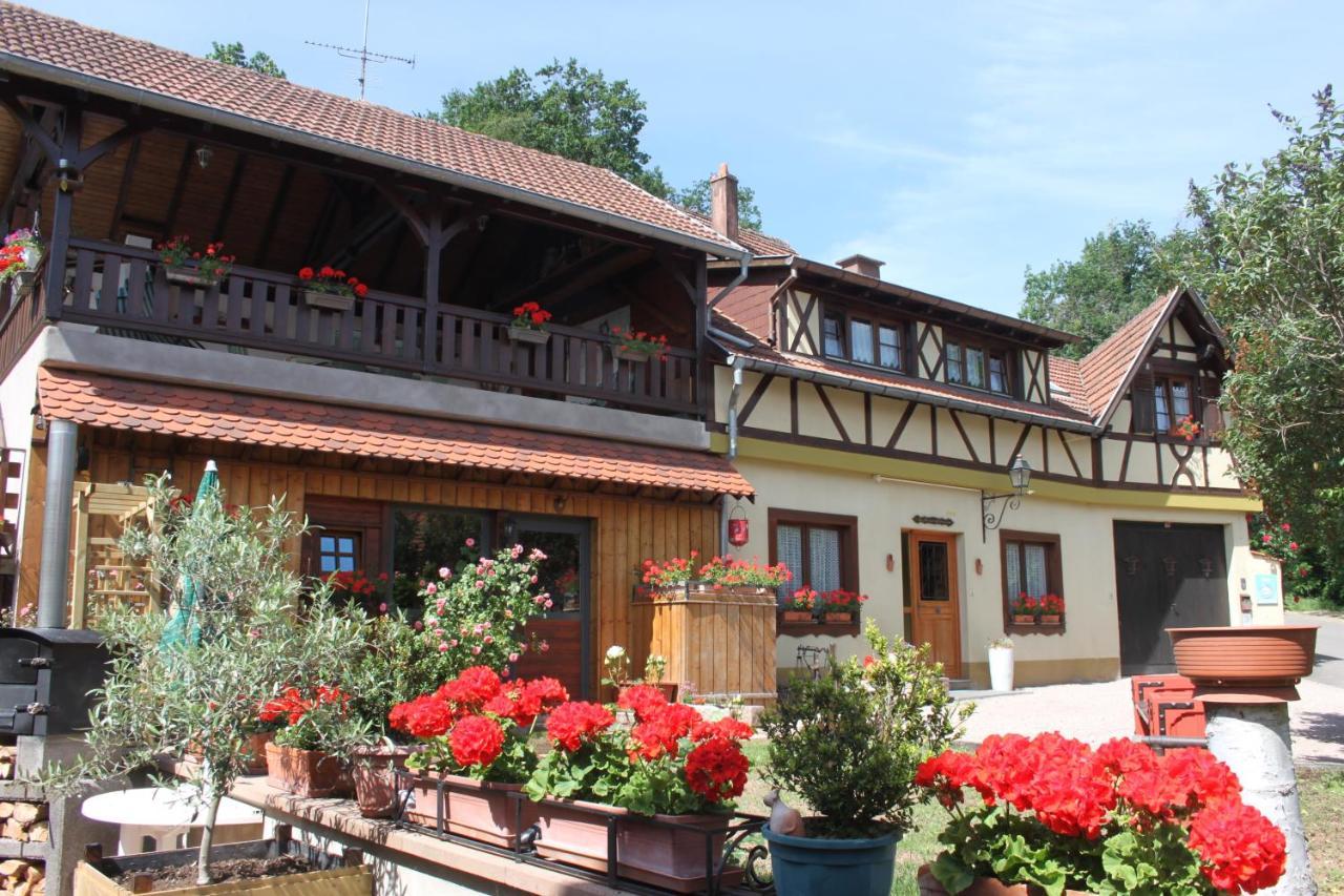 La Maison De Vacances Nothalten Exterior foto
