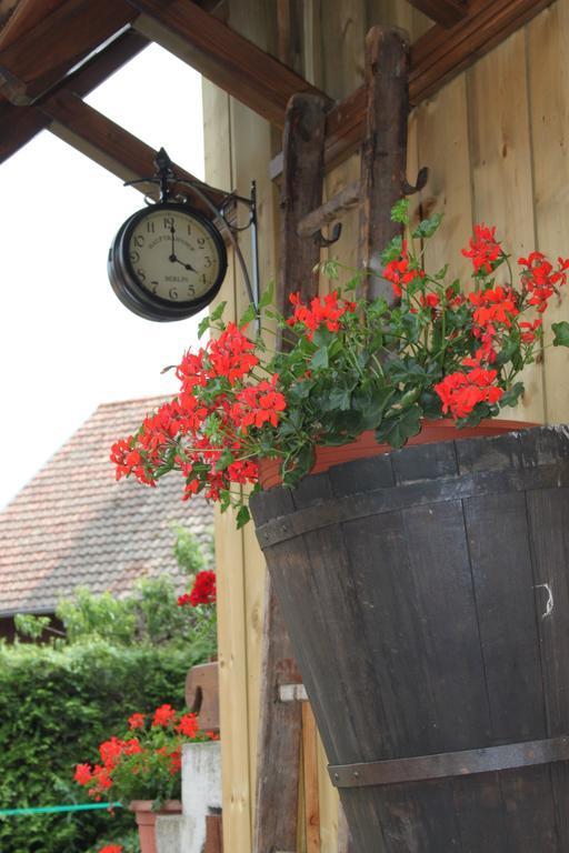 La Maison De Vacances Nothalten Cameră foto