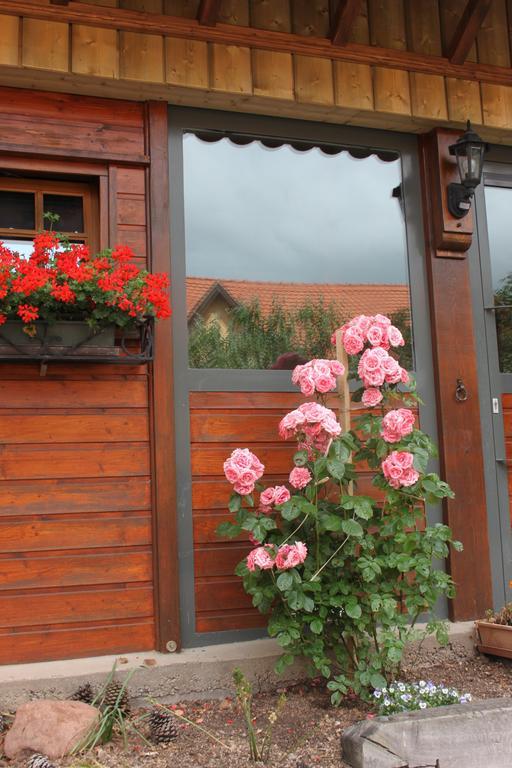 La Maison De Vacances Nothalten Cameră foto