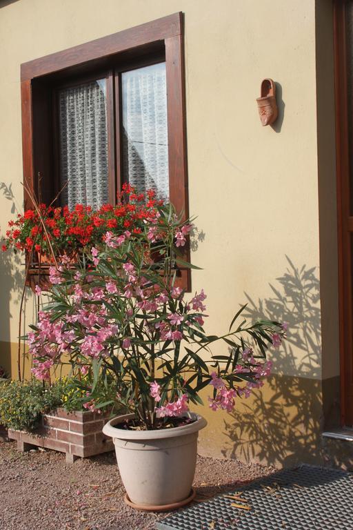 La Maison De Vacances Nothalten Cameră foto